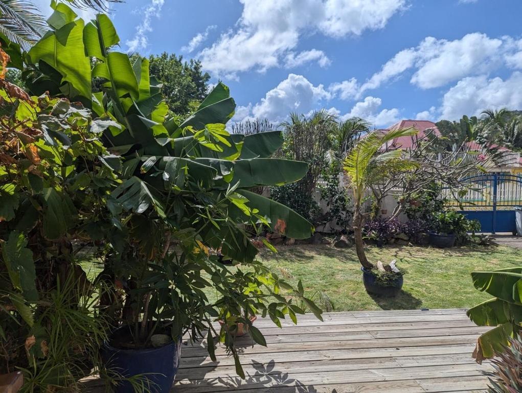 Sur L'Anse Terre-De-Haut Quarto foto
